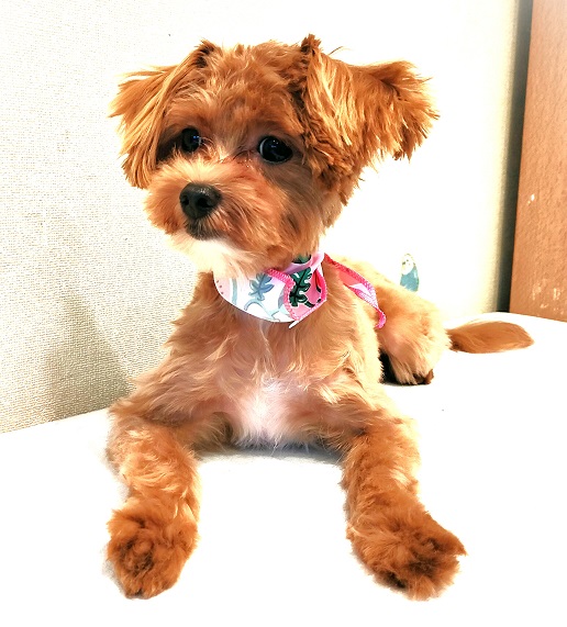 250801.jpg
